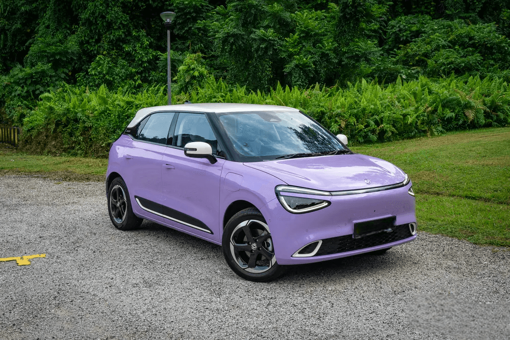 Dongfeng Box Box 2025